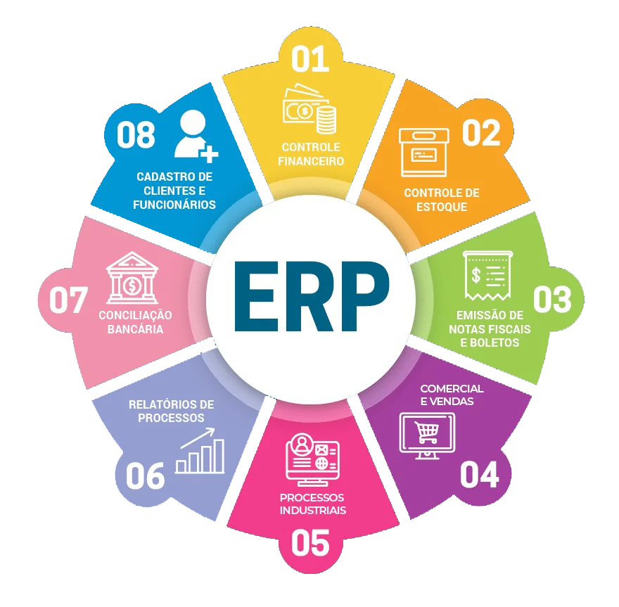 Apoio Técnico em Implementação Sistêmica 5 ERP O QUE E AFINAL